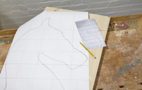 Pferdekopf wird aufgezeichnet