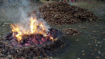 Laub verbrennen erlaubt