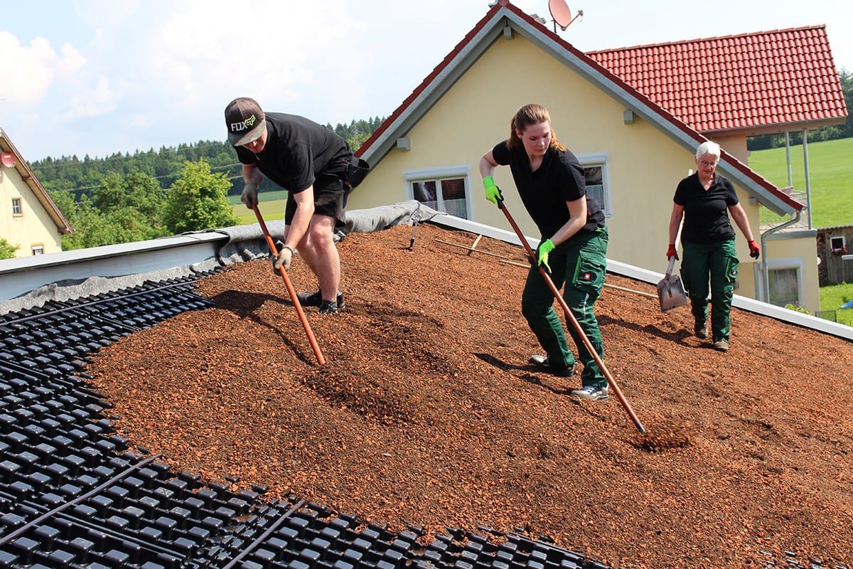 45+ Dachbegrünung Substrat Bauhaus, Für die extensive
