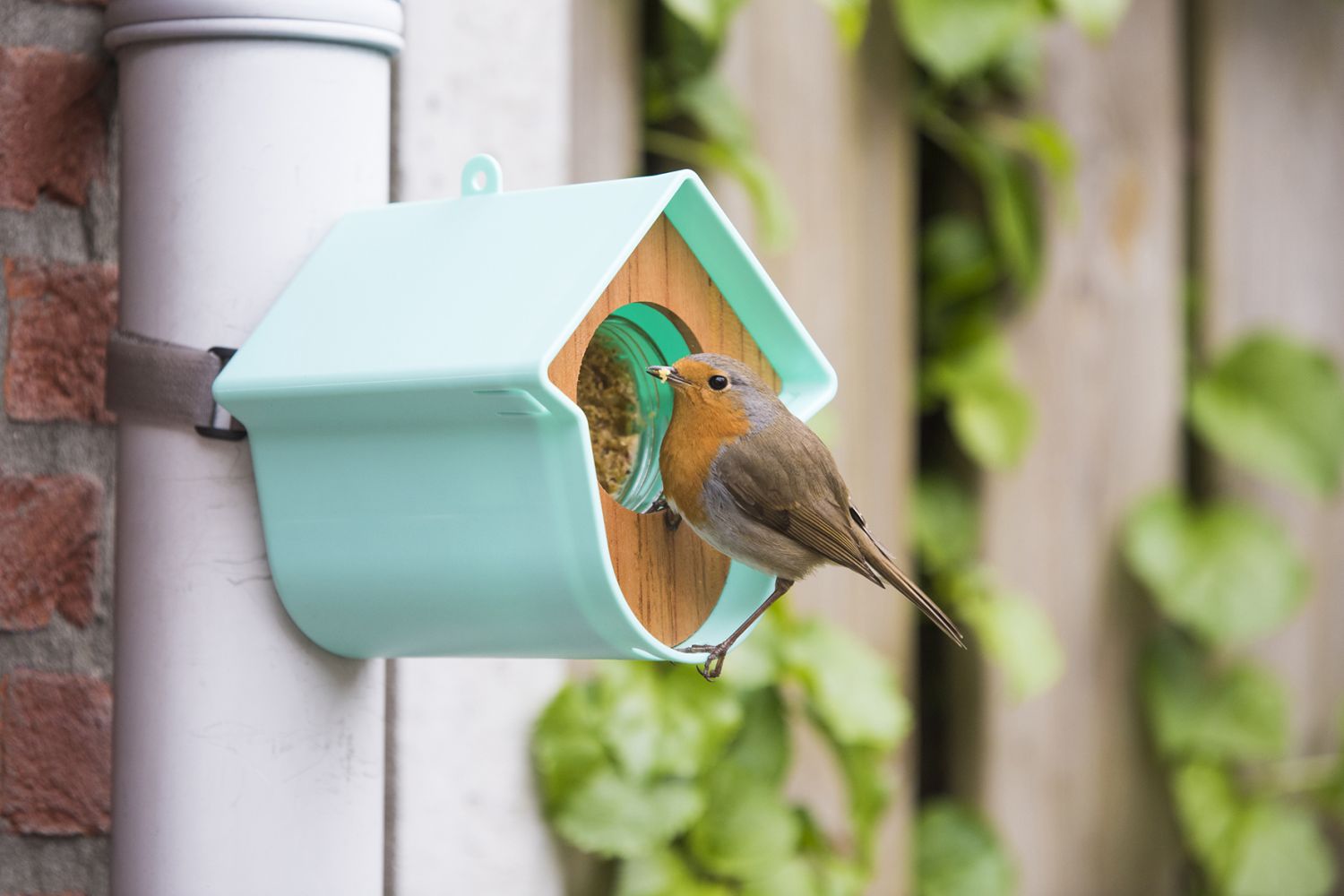 43+ Vögel Füttern Balkon, Ein vogelfutterautomat ist eine